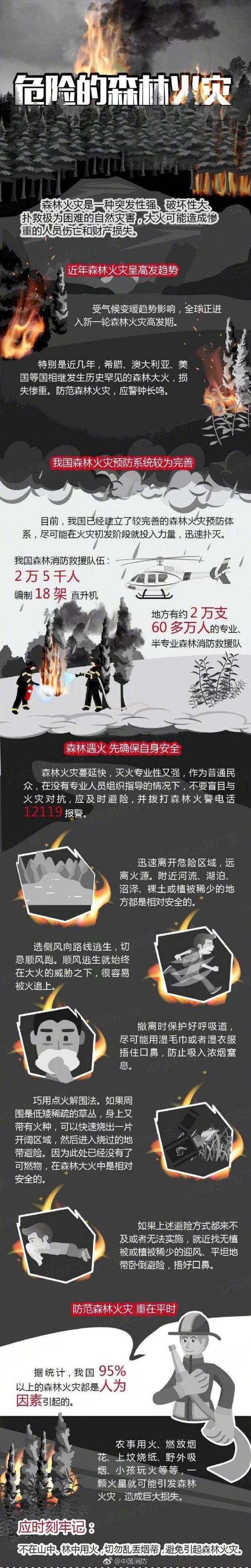 凉山森林火灾救援中发生的“林火爆燃”是什么？(图1)